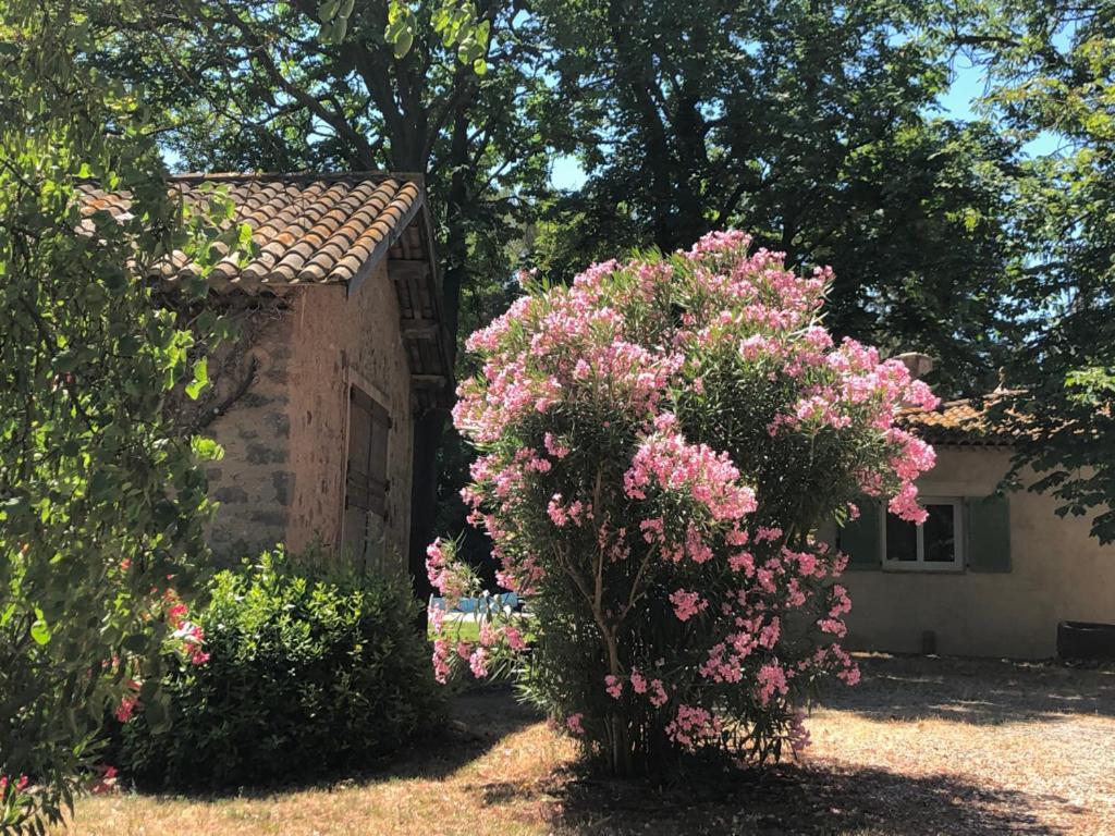 Le Nid Des Corbieres Bed and Breakfast Bizanet Exteriör bild
