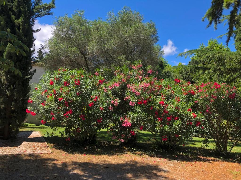 Le Nid Des Corbieres Bed and Breakfast Bizanet Exteriör bild